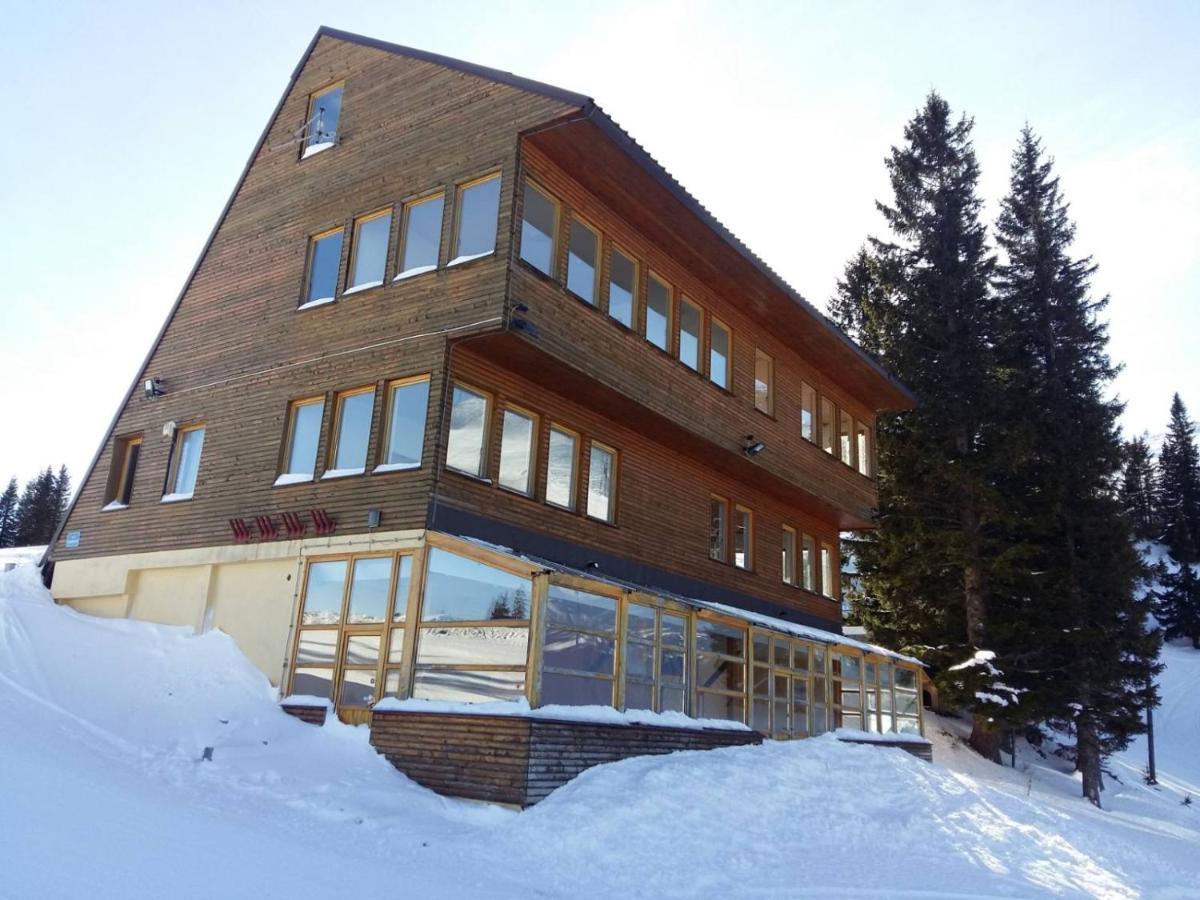 הוילה Olimpik House יהורינה מראה חיצוני תמונה